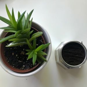 Meet your Posher, Pamela